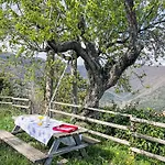 Ca' Da Ciassa - Vlo130 By Interhome *