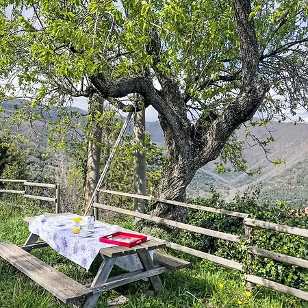 Ca' Da Ciassa - Vlo130 By Interhome *